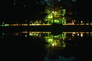 Park at Night