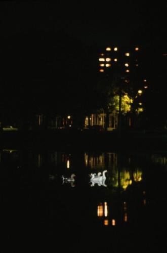 Park at Night 005